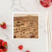 ロッキー地表(惑星火星) スタンダードカクテルナプキン (インサイチュ)