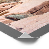 ロッキー夏シースケープアカディア国立公園メイン ポスター (角)