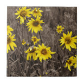 ロッキー山のひまわり タイル (正面)