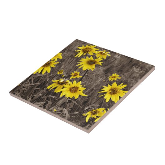 ロッキー山のひまわり タイル (側面)