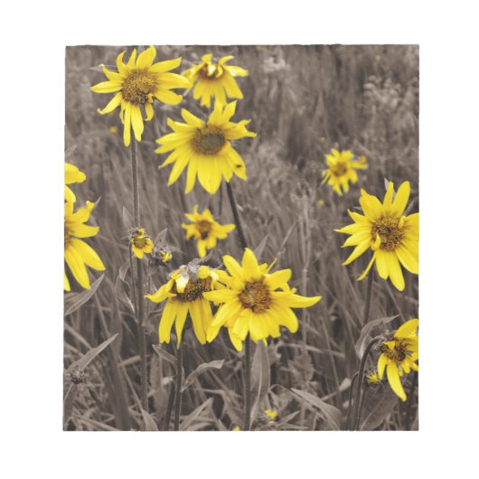 ロッキー山のひまわり ノートパッド (正面)