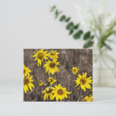 ロッキー山のひまわり ポストカード (スタンド正面)