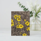 ロッキー山のひまわり ポストカード (スタンド正面)