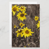 ロッキー山のひまわり 便箋 (正面/裏面)