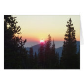 ロッキー山の森の日の出 (正面横)