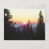 ロッキー山の森の日の出 ポストカード (正面)