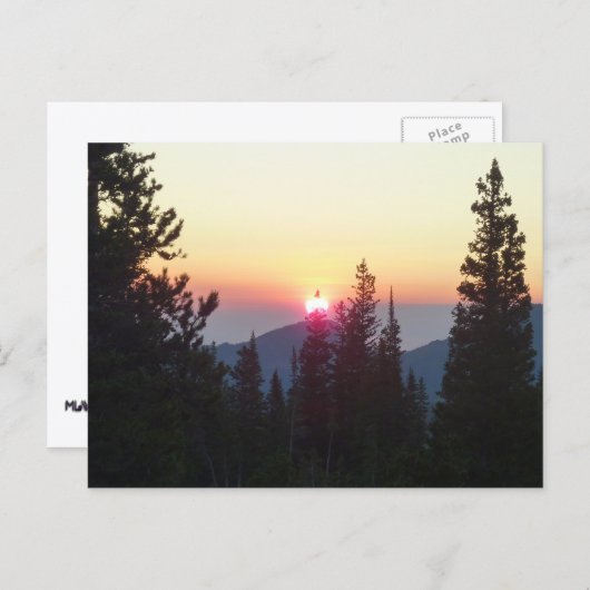 ロッキー山の森の日の出 ポストカード (正面/裏面)