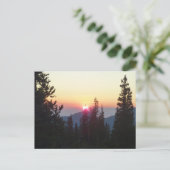 ロッキー山の森の日の出 ポストカード (スタンド正面)
