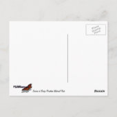 ロッキー山の森の日の出 ポストカード (裏面)