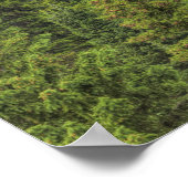 ロッキー山の滝 ポスター (角)