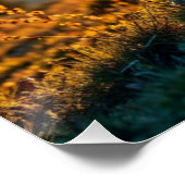 ロッキー山の羊 ポスター (コーナー)