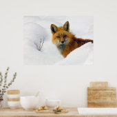 ロッキー山国立公園のキツネ ポスター (キッチン)