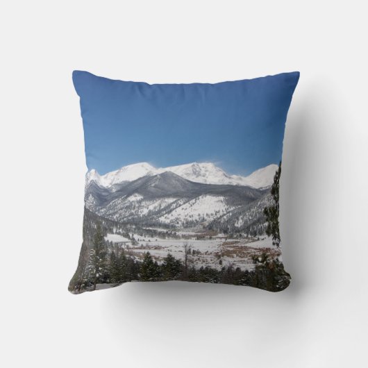 ロッキー山国立公園角枕 クッション (裏面)