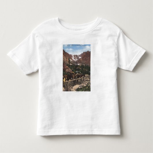 ロッキー山国立公園、CO トドラーTシャツ (正面)