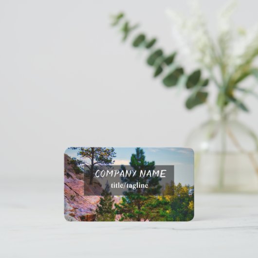 ロッキー山松の木の自然写真 名刺 (スタンド正面)