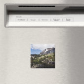 ロッキー山磁石 マグネット (インサイチュ (食洗機))