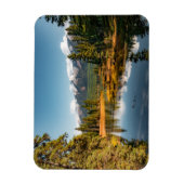 ロッキー山磁石 マグネット (縦)