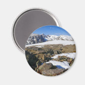 ロッキー山脈で融ける雪 マグネット (正面/裏面)