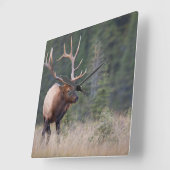 ロッキー山脈のオオシカ スクエア壁時計 (傾斜)