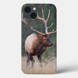 ロッキー山脈のオオシカ iPhone 13ケース