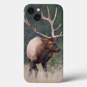 ロッキー山脈のオオシカ iPhone 13ケース