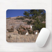 ロッキー山脈のオオツノヒツジ(独身のラムのバンド マウスパッド (マウス)