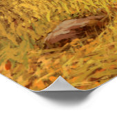 ロッキー山脈のグリズリーベア/ AF-006bear,g ポスター (角)