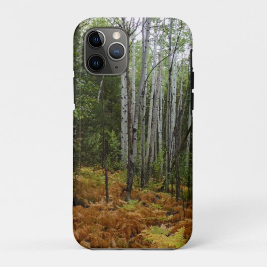 ロッキー山脈のシラカバと紅葉のシダ Case-Mate iPhoneケース (裏面)
