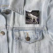 ロッキー山脈のヤギ 缶バッジ (インサイチュ)