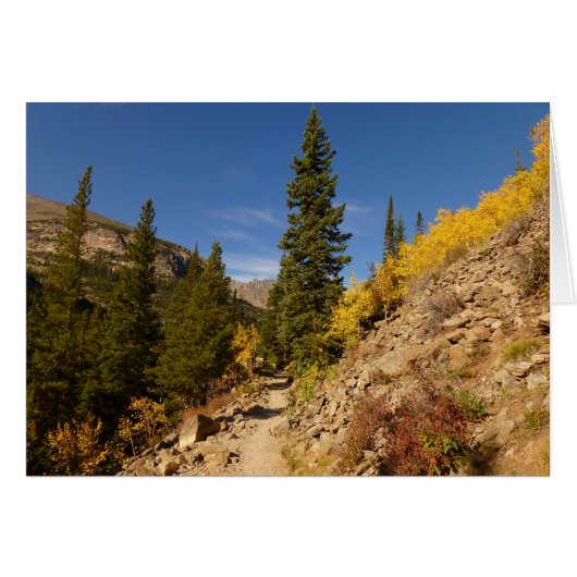 ロッキー山脈のロッチから出る道 (正面横)