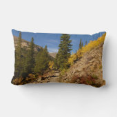 ロッキー山脈のロッチから出る道 ランバークッション (裏面)