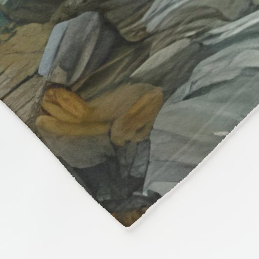 ロッキー山脈の星空の夜 フリースブランケット (角)