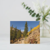 ロッキー山脈の湖からの道 ポストカード (スタンド正面)