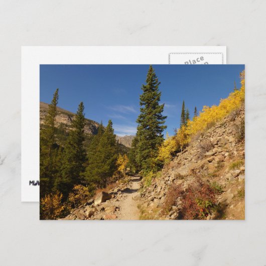 ロッキー山脈の湖からの道 ポストカード (正面/裏面)