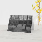 ロッキー山脈の《植物》アスペン、印Eastonによるメッセージカード カード (黄色い花)