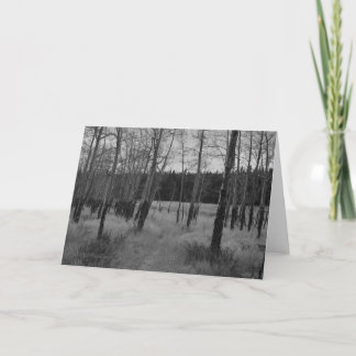 ロッキー山脈の《植物》アスペン、印Eastonによるメッセージカード カード