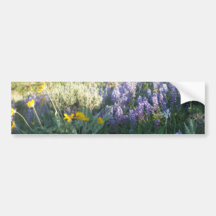 ロッキー山脈のLupine バンパーステッカー