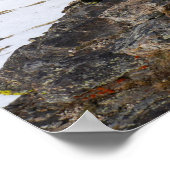 ロッキー山脈を見つめる黄色いベリーズのマーモット ポスター (角)