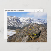 ロッキー山脈を見つめる黄色いベリーズのマーモット ポストカード (正面/裏面)