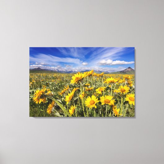 ロッキー山脈 キャンバスプリント (正面)