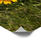 ロッキー山脈 ポスター (角)