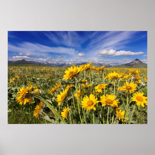 ロッキー山脈 ポスター (正面)