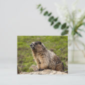 ロッキー山脈 ポストカード (スタンド正面)