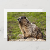 ロッキー山脈 ポストカード (正面/裏面)