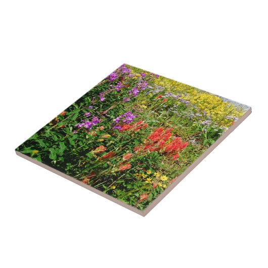 ロッキー山野花 タイル (側面)