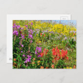 ロッキー山野花 ポストカード (正面/裏面)