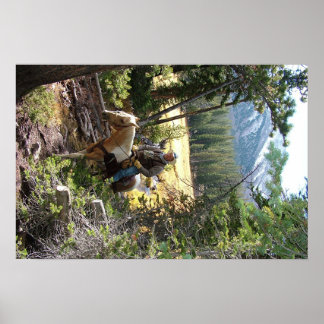 ロッキー山馬乗り ポスター