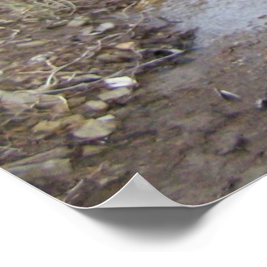 ロッキー流 ポスター (角)