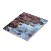 ロッキー海岸線（水あり）（カナダ） タイル (側面)