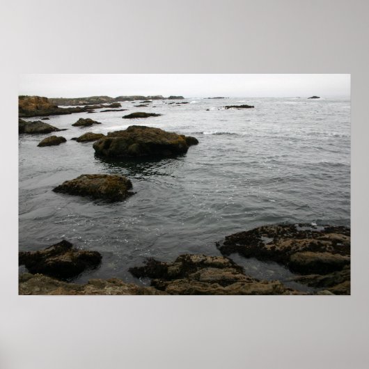 ロッキー海岸 ポスター (正面)
